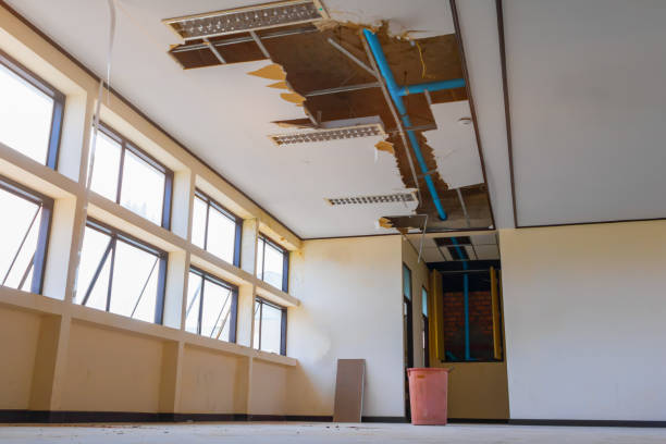 Best Carpet water damage restoration  in Worthington, OH