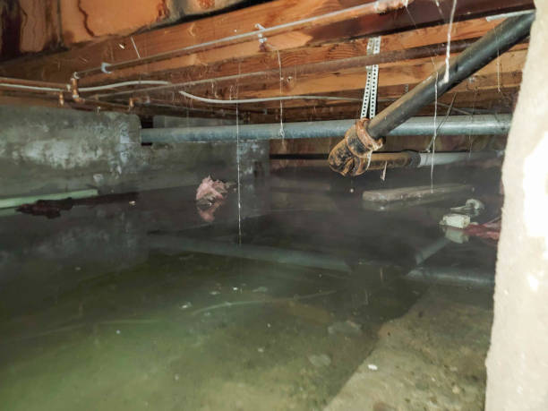  Worthington, OH Water damage restoration Pros