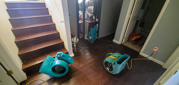 Best Mold removal after water damage  in Worthington, OH