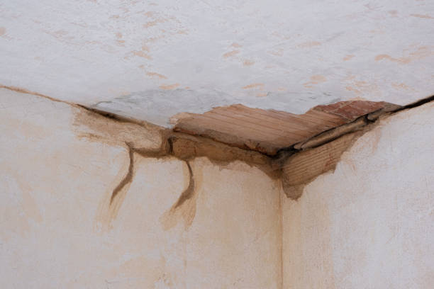 Best 24/7 water damage repair  in Worthington, OH