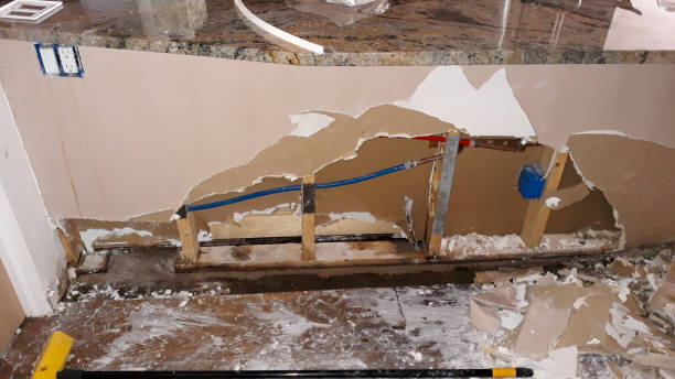 Best Fire Damage Restoration  in Worthington, OH