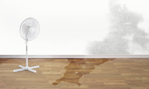 Best Flooded house restoration  in Worthington, OH