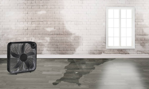 Best Water damage restoration process  in Worthington, OH