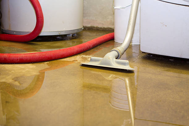 Best 24-hour water damage restoration  in Worthington, OH