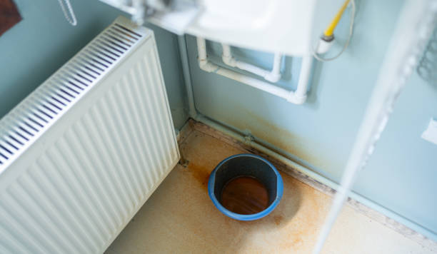Best Flood restoration services  in Worthington, OH