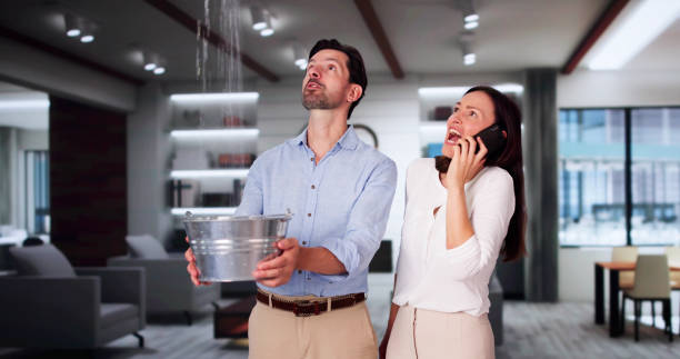 Best Water damage mitigation services  in Worthington, OH