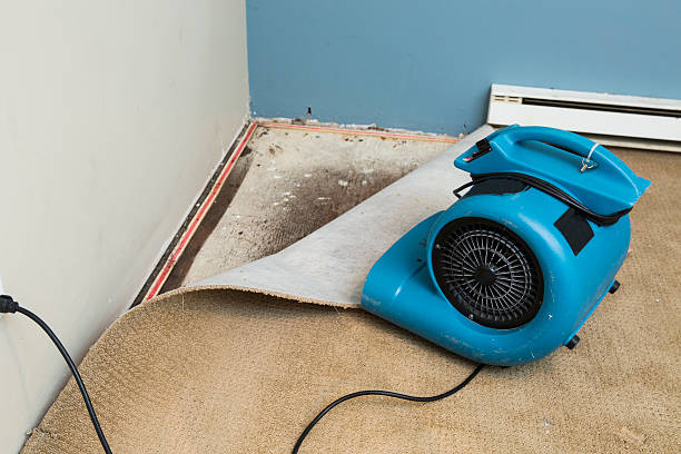 Best Sewage cleanup and water damage restoration  in Worthington, OH